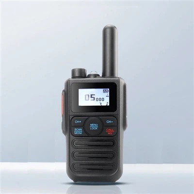 Radio portatile Mini Gmrs da 2 W
